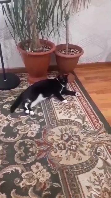 Наш вратарь))