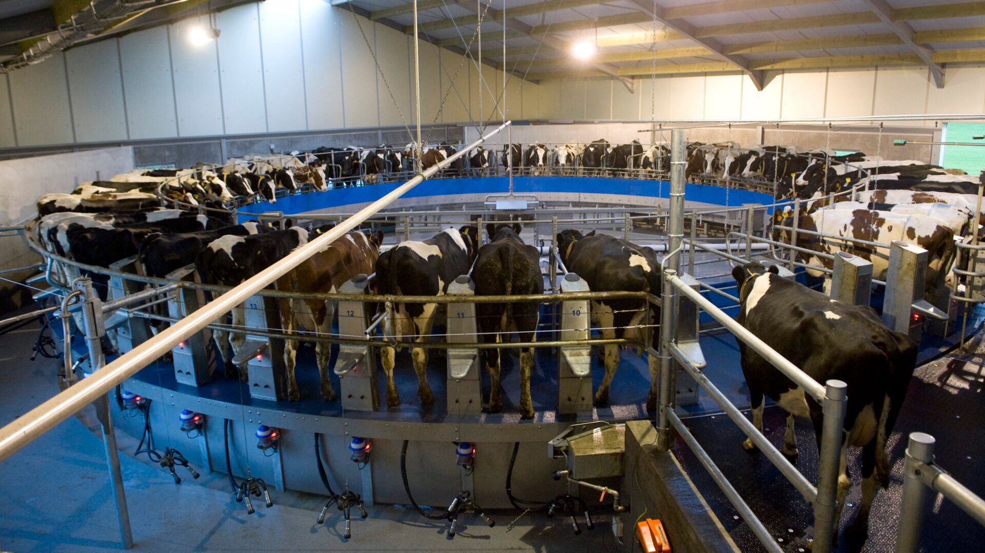 Доильный зал Внешняя Карусель  BouMatic Streamline_360EX