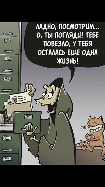 Мем про 9 жизней