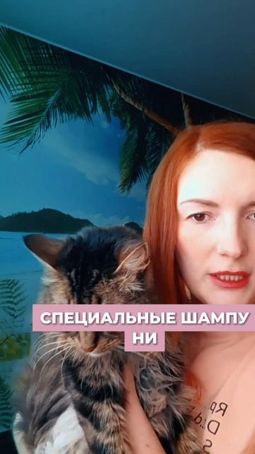 у аллерголога 2 кота и конь с астмой