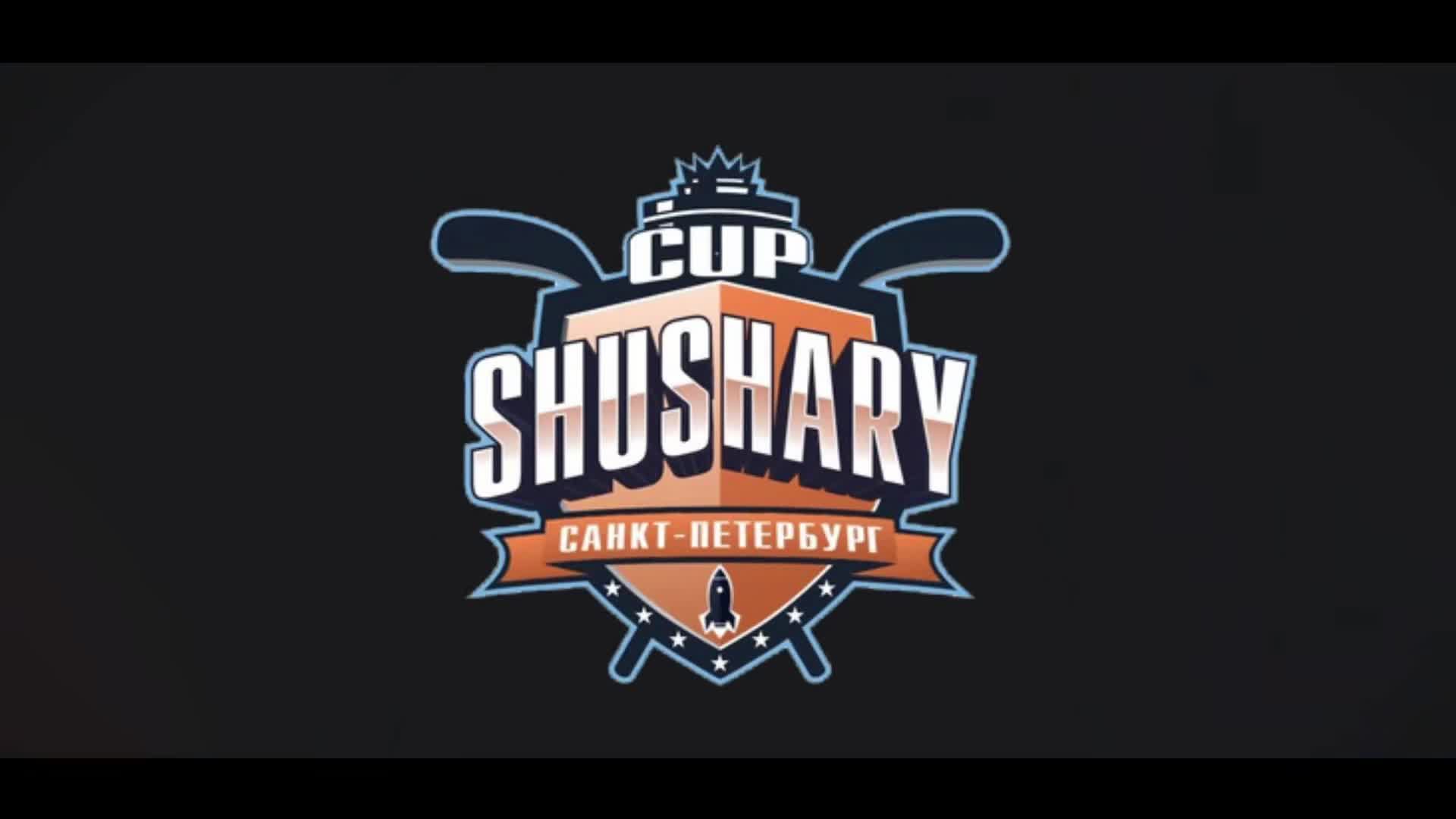 Матч №84 • СКА-Серебряные Львы — Торнадо-16/17 • Shushary Cup 2017-U9 • Балтик • 30.042026 в 12:30