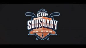 Матч №84 • СКА-Серебряные Львы — Торнадо-16/17 • Shushary Cup 2017-U9 • Балтик • 30.042026 в 12:30