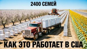 Пасека на 2400 семей: как это работает в США. Организация опыления | Прокопенко 🐝🇺🇸