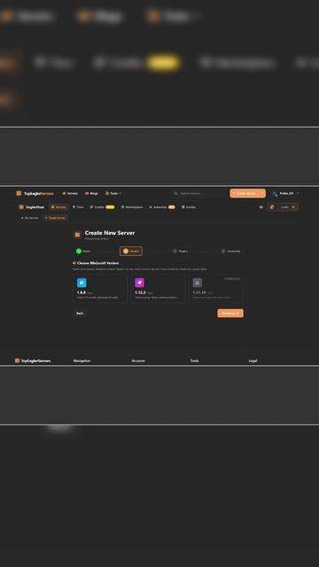 Как быстро создать свой сервер? Eagler.Host обзор