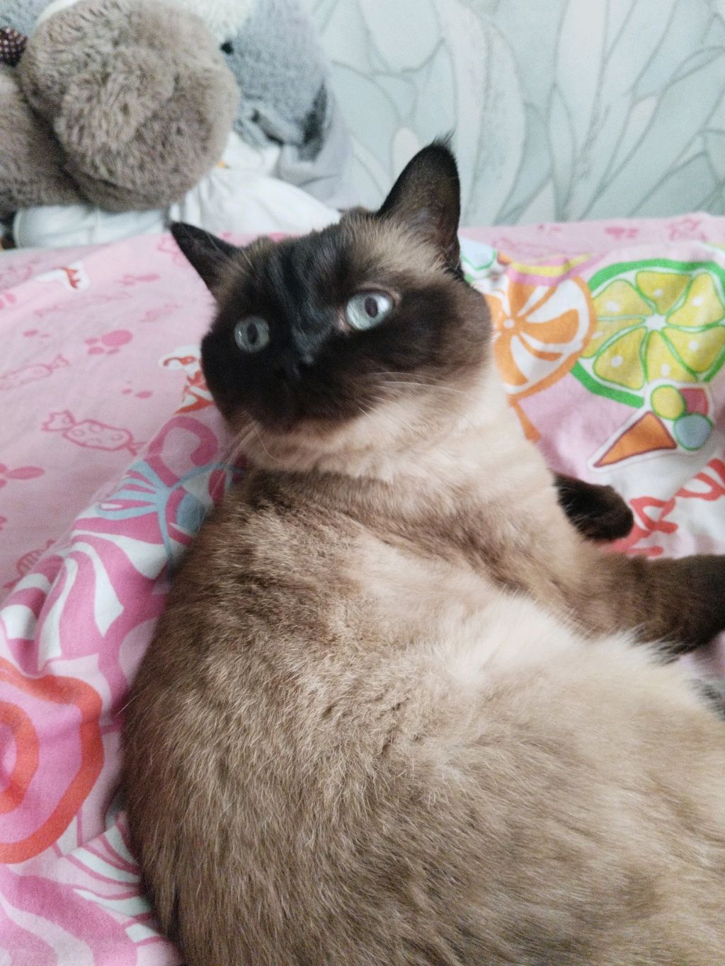 трансляция, что вам еще надо от меня 😔😫