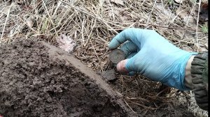 Металлокоп. Поиск в заброшенной деревне. Первые монеты сезона. #73
