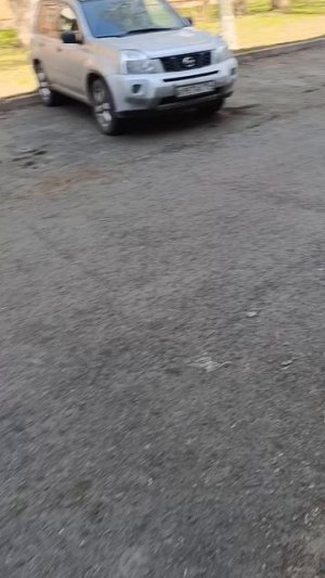 scene_output.mp4