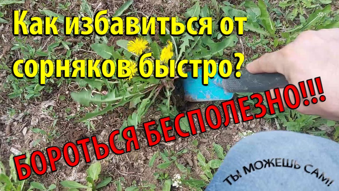 Как избавиться от сорняков быстро