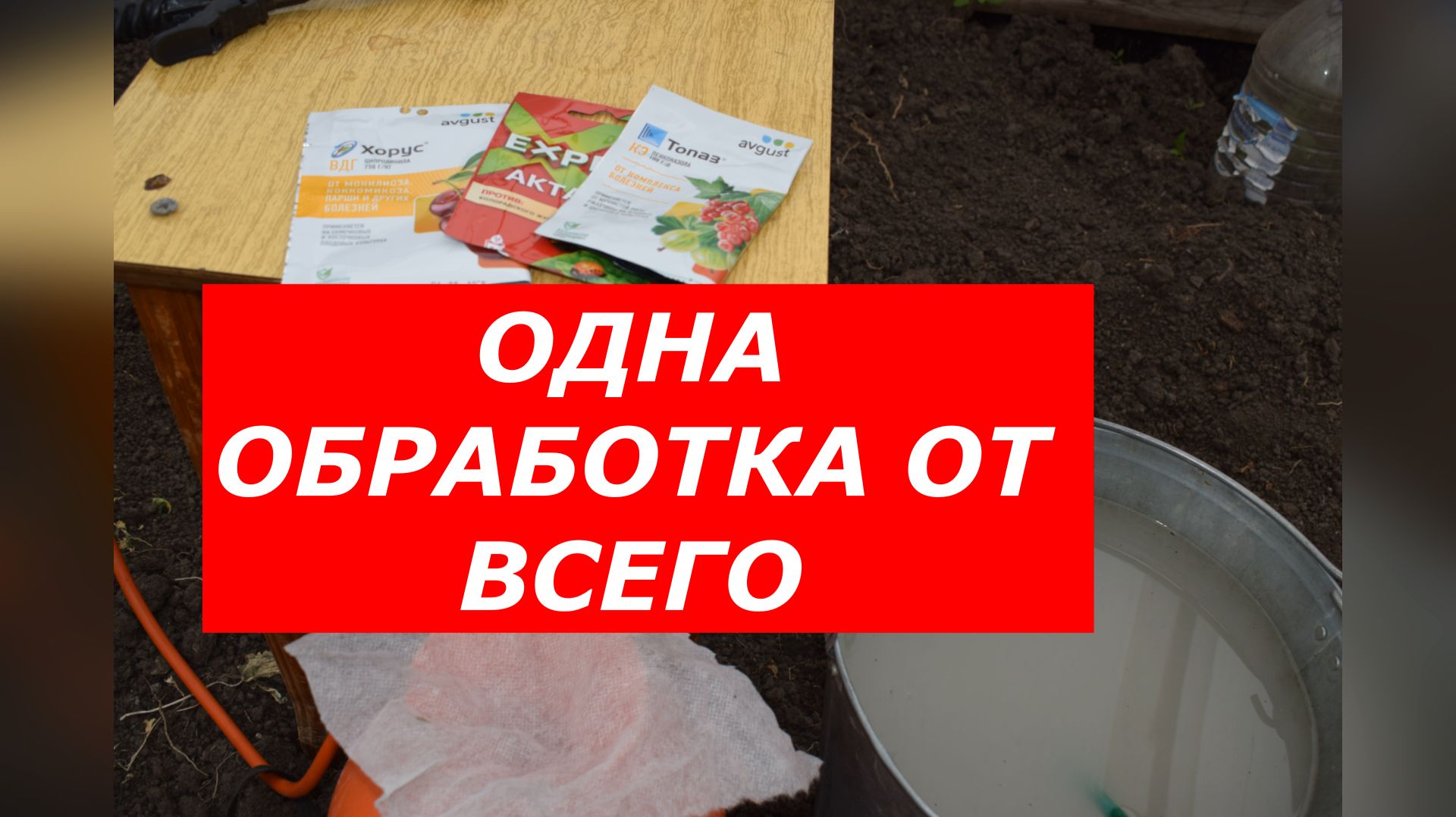 Одна обработка — и сад здоров! Хорус + Актара + Топаз.