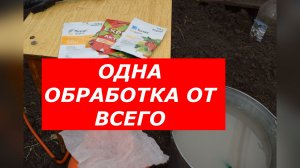 Одна обработка — и сад здоров! Хорус + Актара + Топаз.
