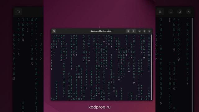 Матрица в терминале Linux
