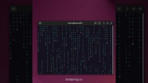 Матрица в терминале Linux