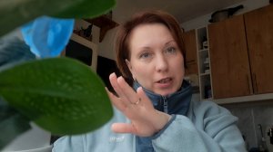 Почему я удаляла свой канал❌️Амёбой быть не хочу‼️