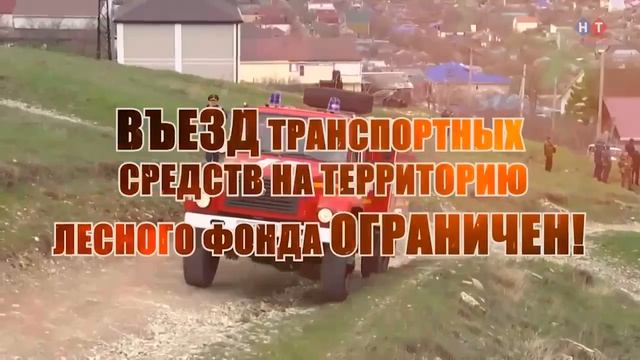 Берегите лес от пожара!