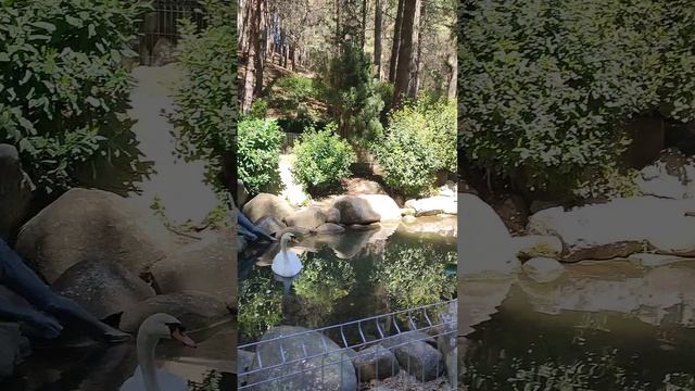 маленькое путешествие.mp4