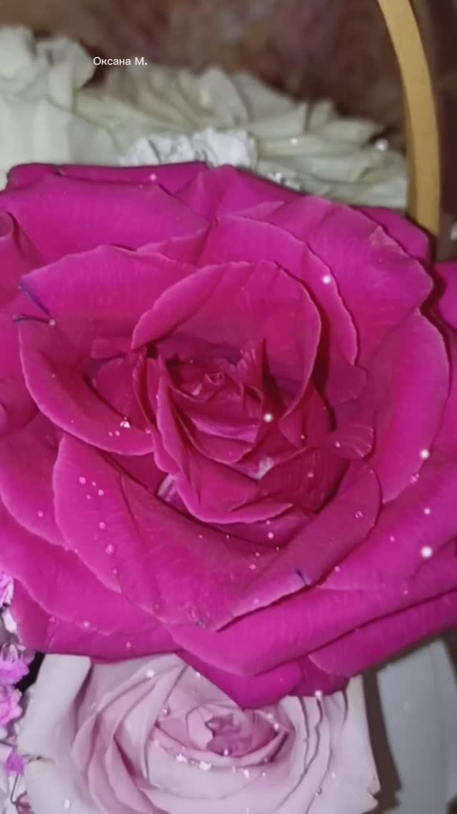 Цветы для настроения