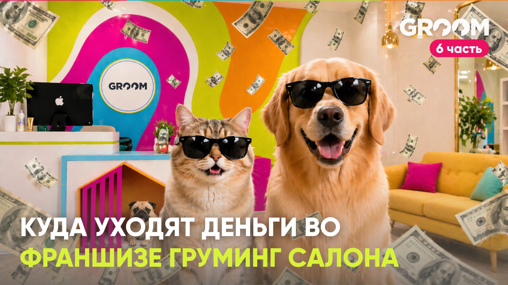 Шестая часть. Куда уходят деньги во франшизе груминг салона