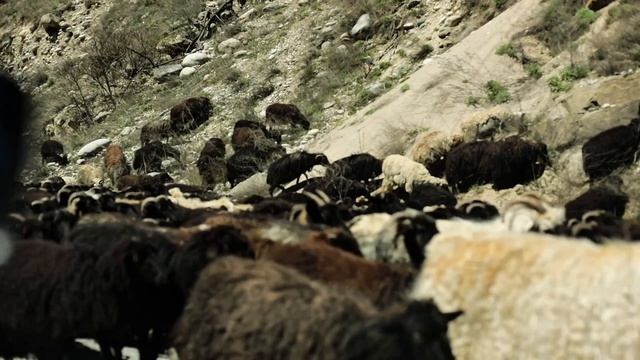 это просто дорога на Эльбрус💔  #путешествияпороссии #эльбрус #дороганаэльбрус