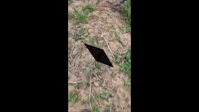 Рабочие для ухода за виноградниками, Началово