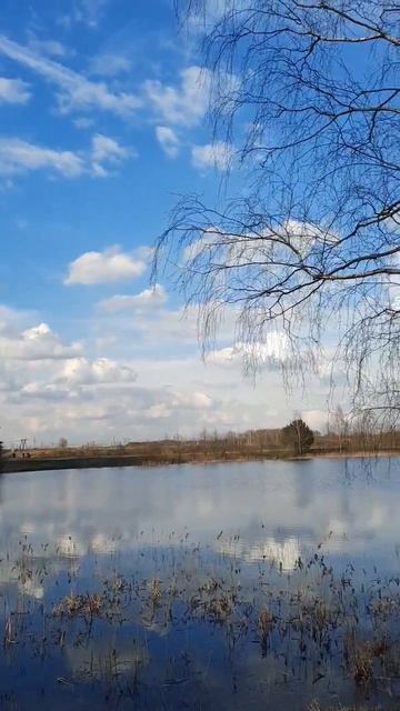 Приехали с отцом на велосипедах на водоем Катенка в Клязменской пойме