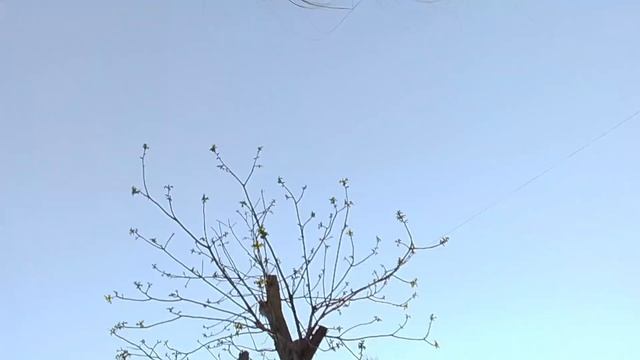 подружааанииии