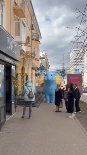 Внезапный слон в центре Ульяновска на Дворцовой😱