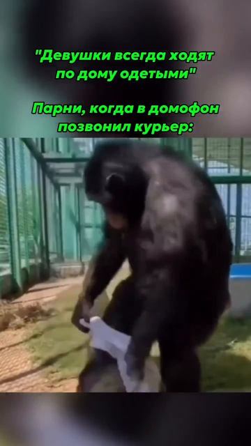 Ну не знаю