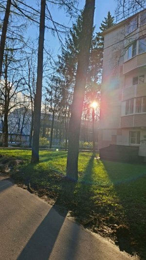 прогулка
