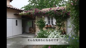 🌸🌸🌸🌸🍃🍃🌷