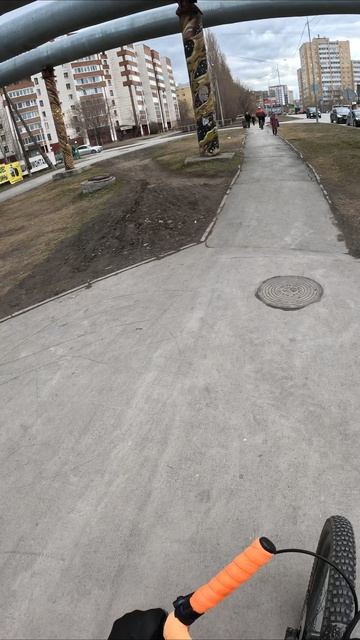 мнимый жук - фантомный клещ