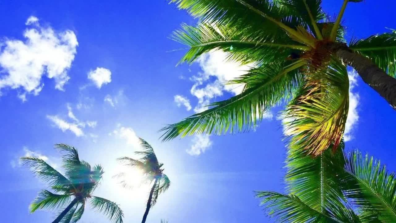 Слушать музыку  Музыка онлайн SoundWave LIVE ✌️😎