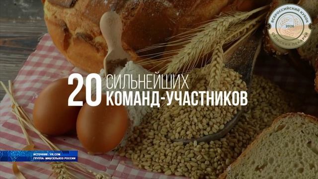 Министерство сельского хозяйства объявило о приёме заявок на конкурс «Кубок сельских пекарей России»