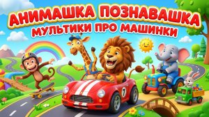 анимашка познавашка мультики про машинки