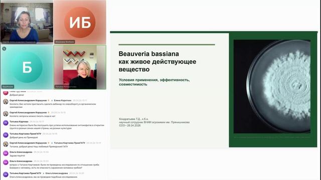 Опасен ли гриб BEAUVERIA BASSIANA для человека, энтомофагов и природных обитателей