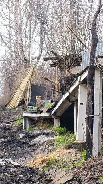 VID_20260427_181450