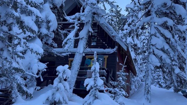 Новогодний влог  2026 