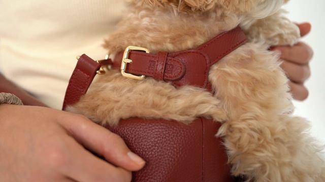 Сумка слинг переноска для собак Tesoro Collezione