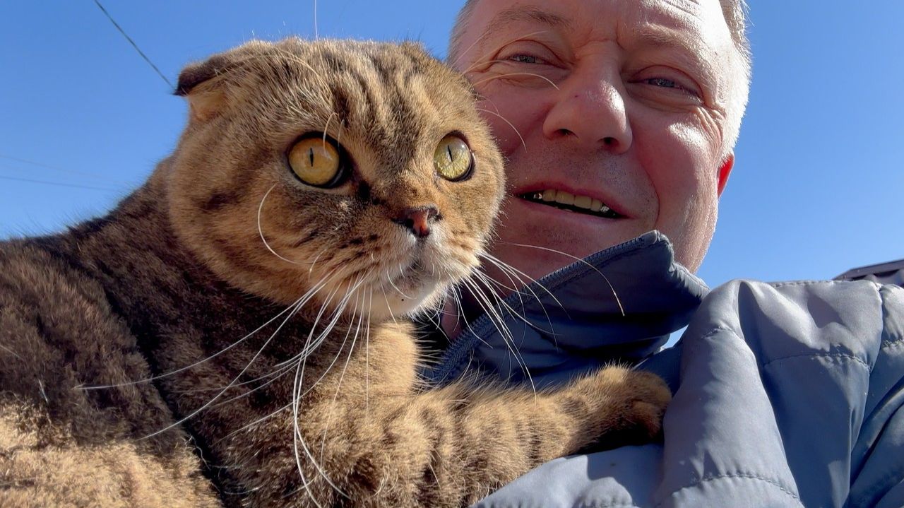 Жизнь вне орхидей - у НАС свой бал ТЮЛЬПАНОВ ⧸⧸ влился в садово огородную СУЕТУ