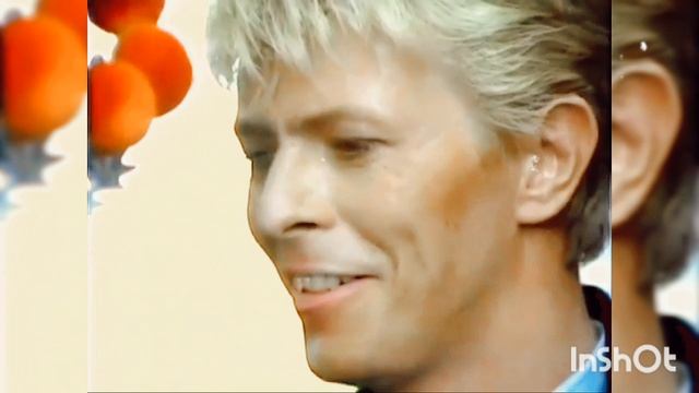 InShot_20260430_025340875.mp4