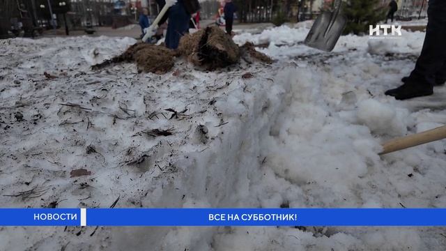 Все на субботник!