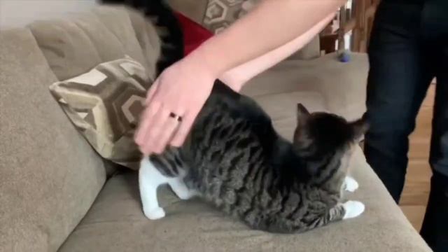 День отшлёпывания отмечается сегодня — в этот день парочки могут отшлёпать друг друга