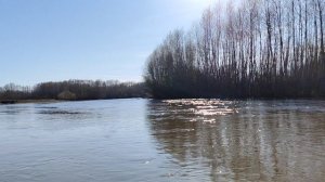 Покатушки на катере