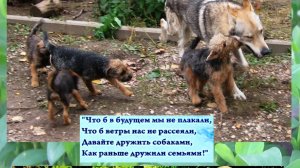День желаний 29 IV 2026