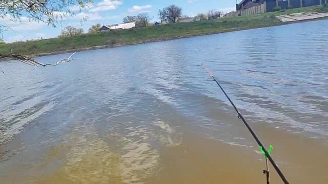 VLOG отлично отдохнули. Донской карась на удивление оказался совсем не плох