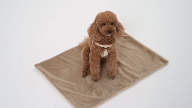 Коврик для отдыха для собак Tesoro Collezione