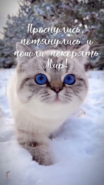 Video_2026-03-20_09-37-26