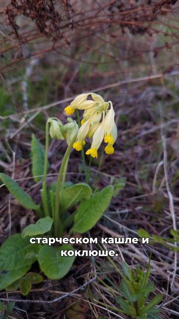 когда здоровья нет