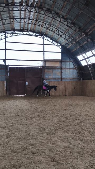 Василиса и Флейта, галоп по стенке в манеже.