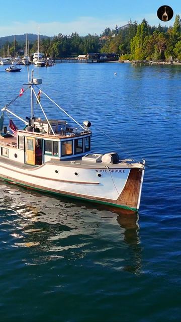 100-летняя лодка из белой ели на якоре | Deer Harbor, Orcas Island | DJI Avata