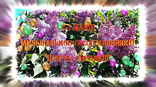 С 1 МАЯ!!! Музыкальное поздравление Цветы сирени 2 от Киностудии Мудрого Кота Тимофея!